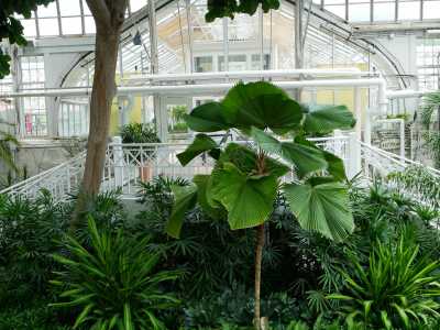 view of greenhouse