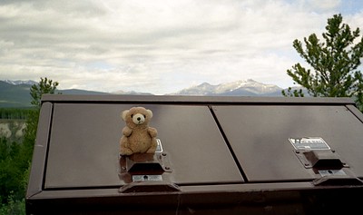 [The Trash Containers are Bear-Proof [our travelling bear had to test them]
]
