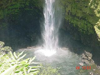 [Base of Akaka Falls]