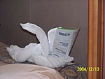 [Our first towel animal, rabbit reading the daily newsletter]