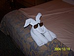 [Second towel animal -- how did they guess our political leanings?]