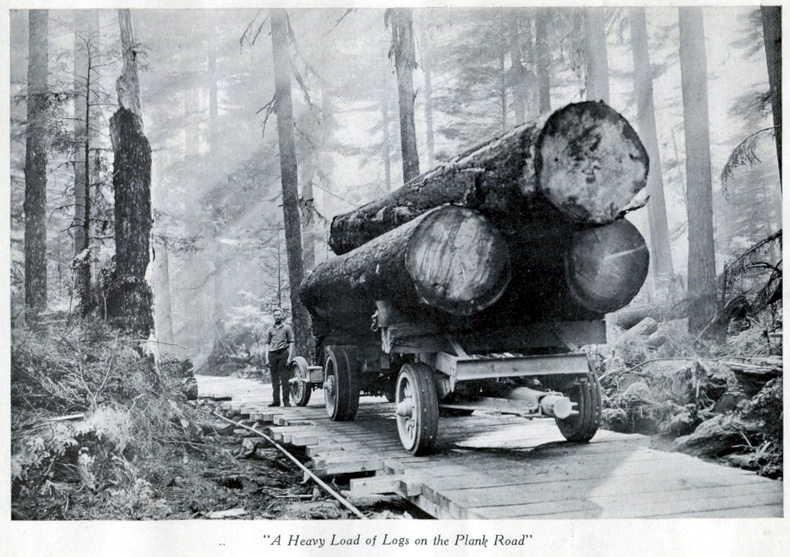 Spruce soldier with truck hauling logs in the Washington forest