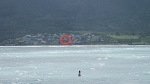 [Waiehu Reef Buoy #2.  Our house is visible in this image]