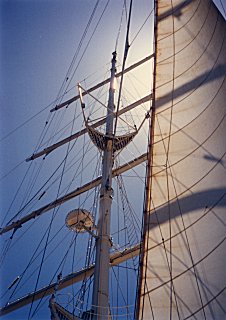 [The majestic sails of the Star Clipper]