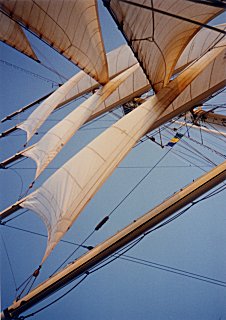 [Another view of the Star Clipper sails]