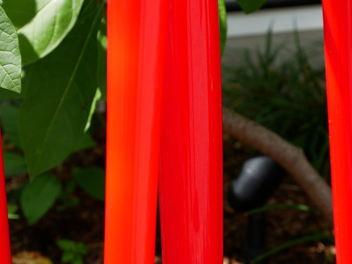 [Chihuly Glass (red spears outside)]