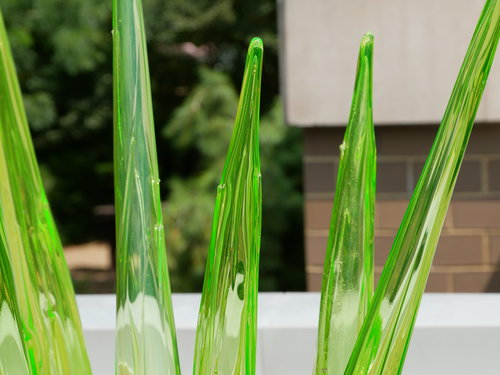 [Chihuly Glass (green spears)]