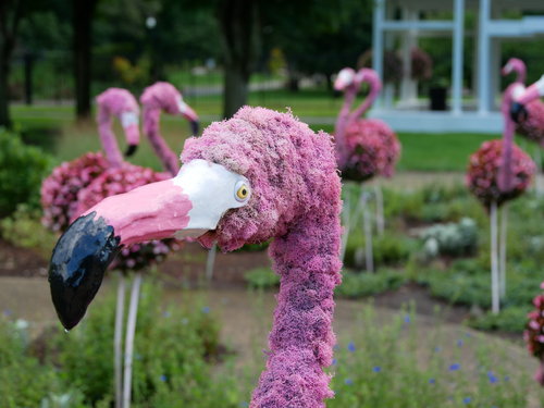 [Floral Flamingos]