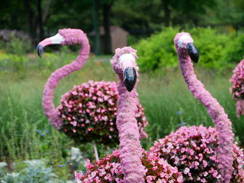 [Floral Flamingos]