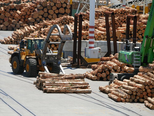 [Typical Export Items: Lumber