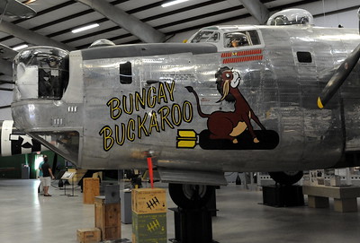 [Bungay Buckaroo [Bomber from India/China/Burma Theater WW II]]