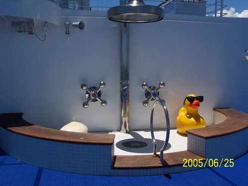 'Rubber Ducky' Shower, Pool Area