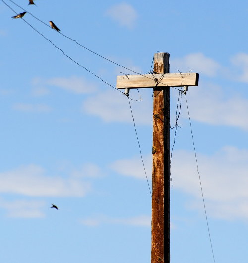 [Telegraph Pole and Wires [restored to it's appearance in 1869]]