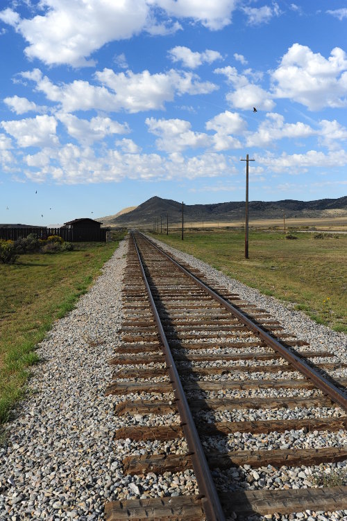 [View of Current Track Area [restored to be closer to its appearance in 1869]]