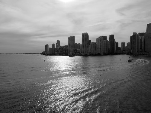 [Miami Skyline and Harbor (BW)]