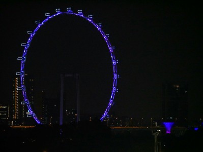 [Singapore Wheel]